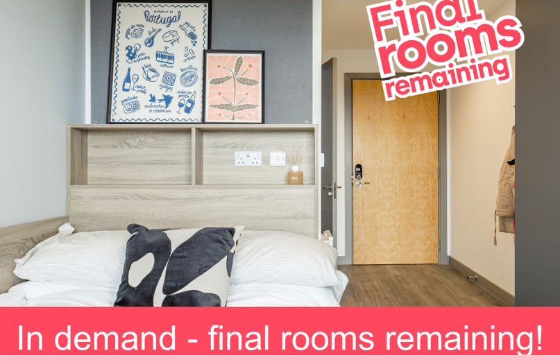 Deluxe En Suite, Ashlin House, Bandon Road Cork, University College Cork, Cork - Image 1